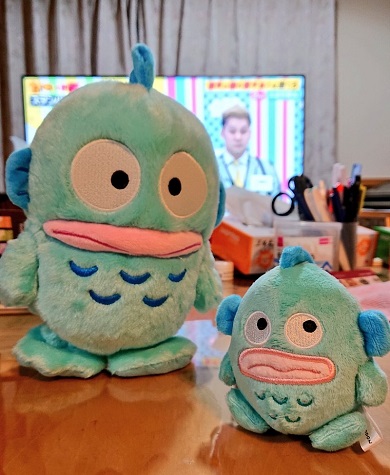 ぬいぐるみの写真を撮ってハンギョドンの誕生日を祝う