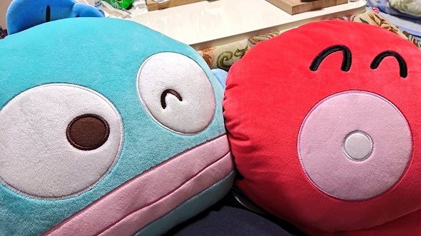 ハンギョドンとさゆりちゃん