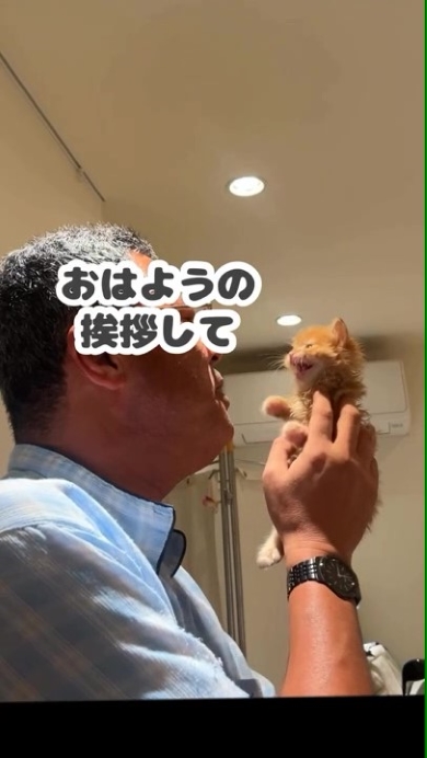 猫を抱っこする男性