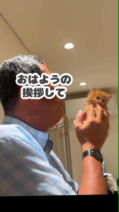 猫を抱っこする男性