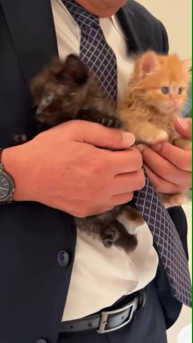 猫を抱っこする男性