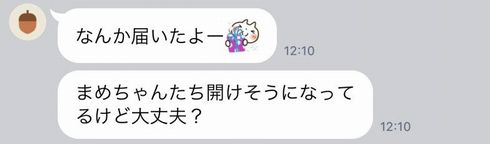 レオス・ヴィンセント まめねこ