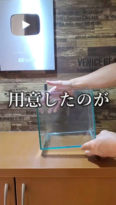 メダカで観葉植物を育てる方法