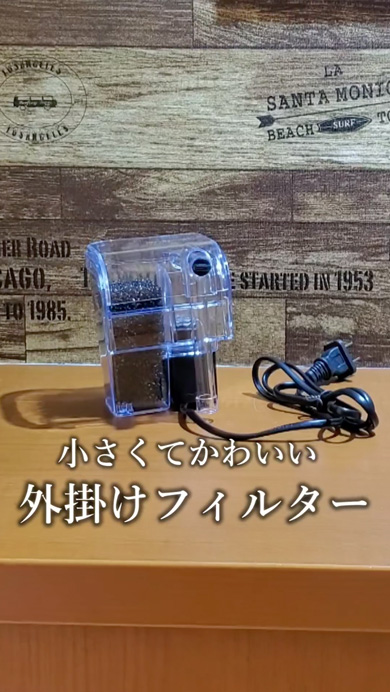 メダカで観葉植物を育てる方法