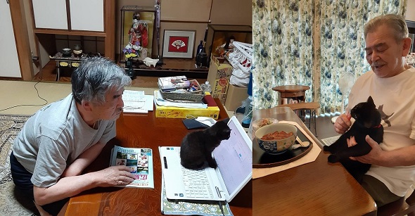 黒猫を保護した父のビフォーとアフター