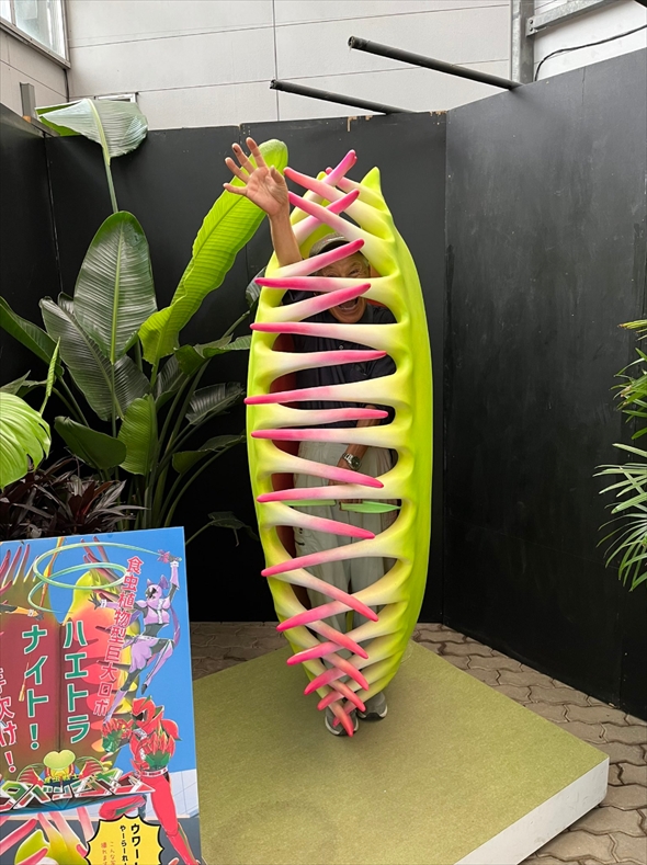 食虫植物の餌食