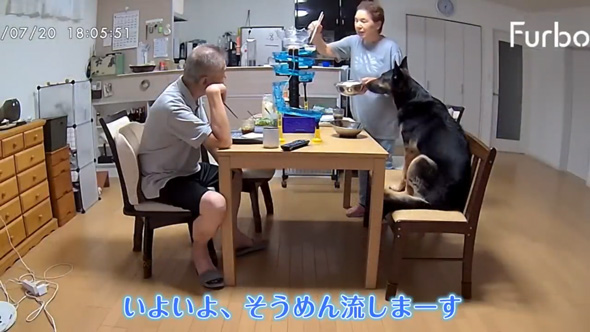 愛犬そ祖父母に預けたら流しそうめん