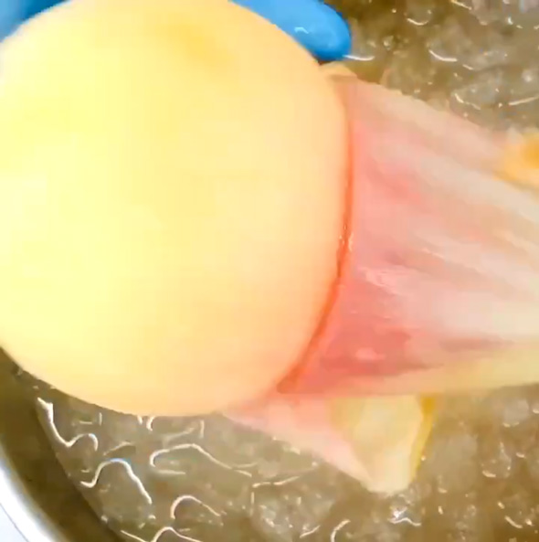 桃 つるんと きれい 剥き方 簡単 お湯 氷水
