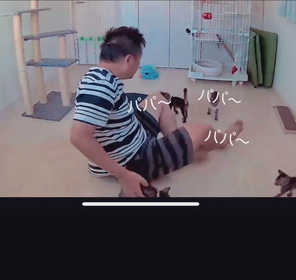 横になっている男性と子猫ちゃんたち