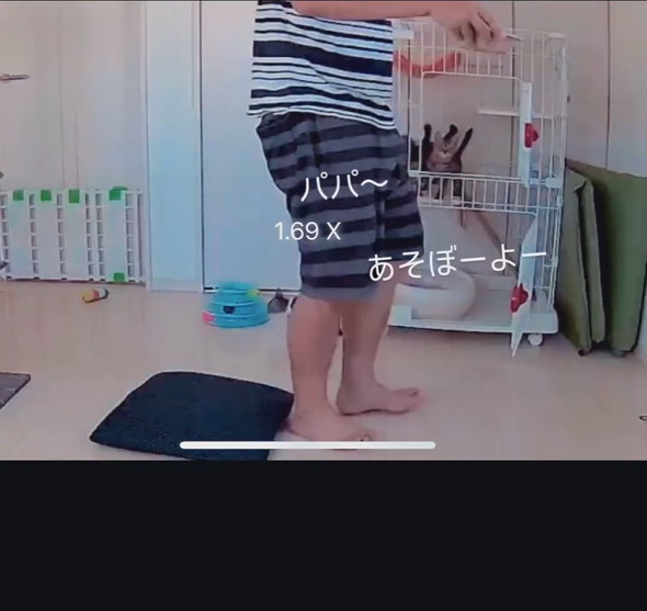 横になっている男性と子猫ちゃんたち