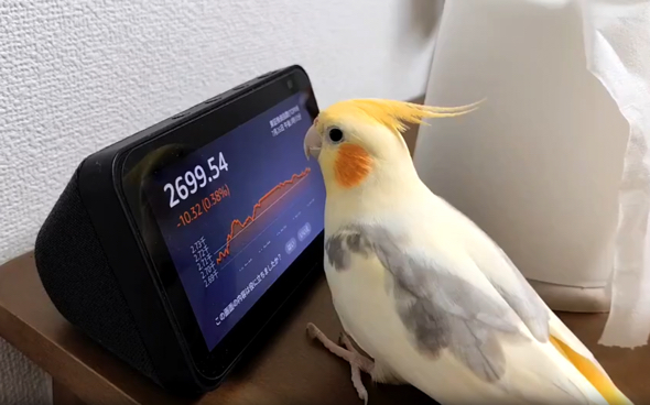 もっとアレクサとおしゃべりしたい様子