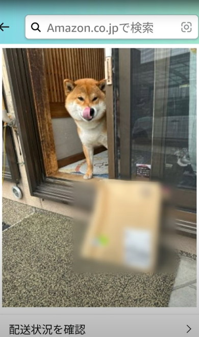 置き配受け取る柴犬