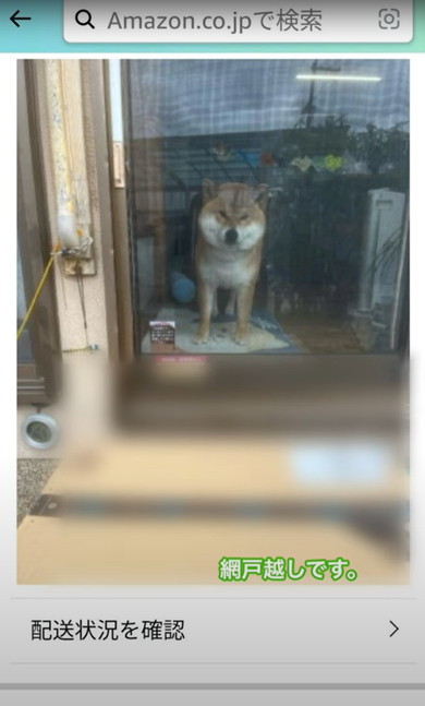 置き配受け取る柴犬