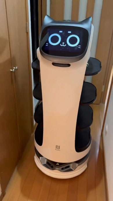 自家用ベラボット