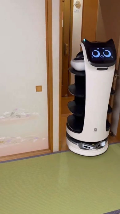 自家用ベラボット