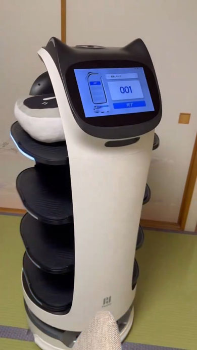 自家用ベラボット