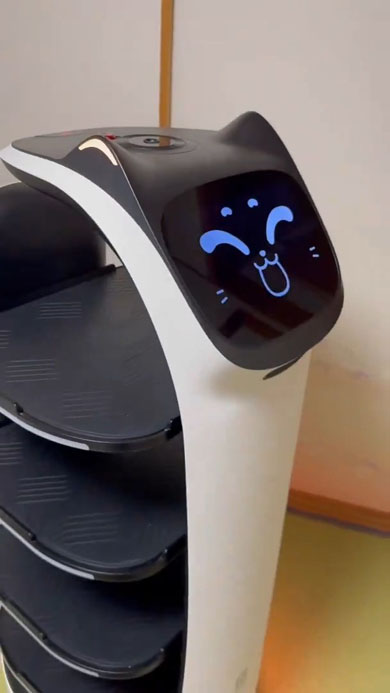 自家用ベラボット