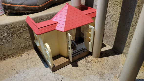 玄関前に居たカエルさん