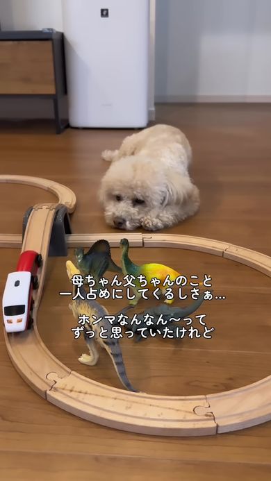 ママとパパを独り占めされて落ち込むワンコ