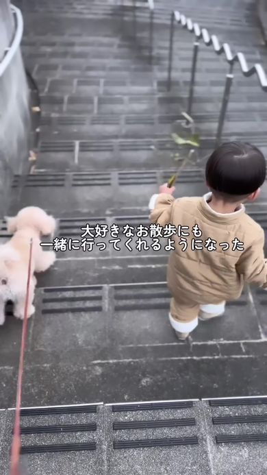 成長した男の子と一緒に散歩をするワンコ