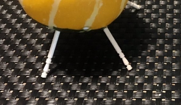 飾り付け用のカボチャを使い精霊馬のように再現したキーウィ