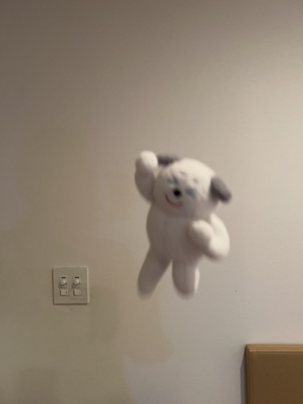 ぬい投げ写真01