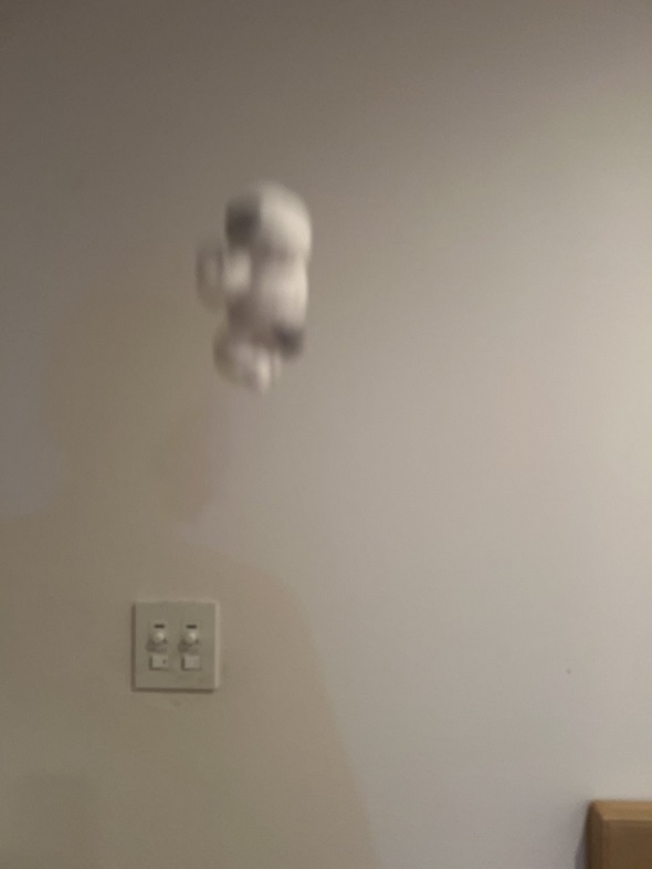 ぬい投げ写真02