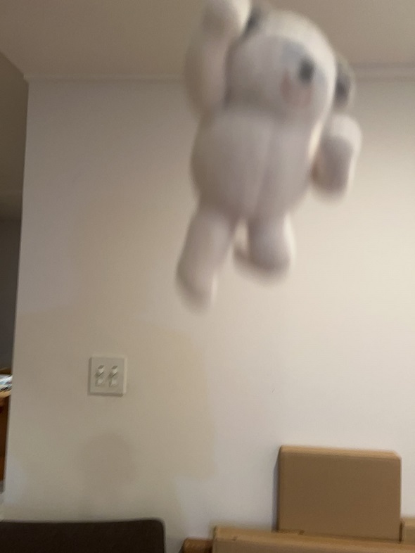 ぬい投げ写真03