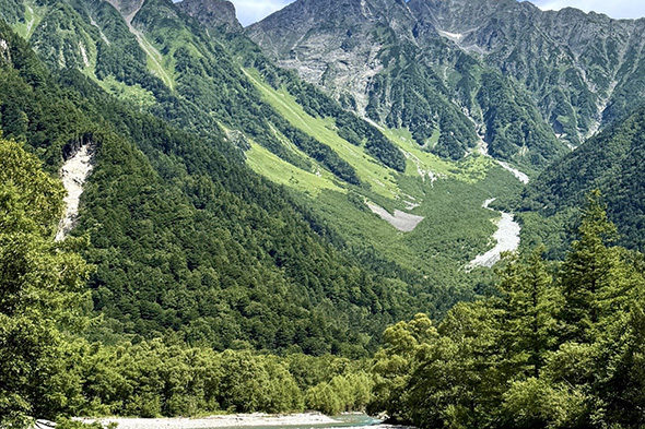 ぼんやり眺めていたい！