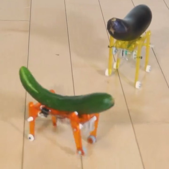 自走する精霊馬のナスとキュウリ