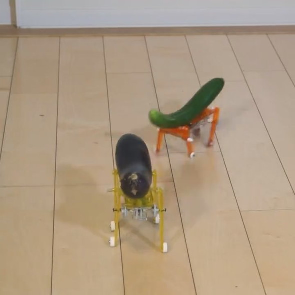 自走する精霊馬のナスとキュウリ