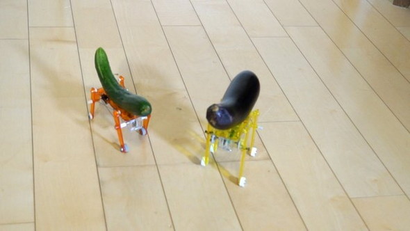 自走する精霊馬のナスとキュウリ