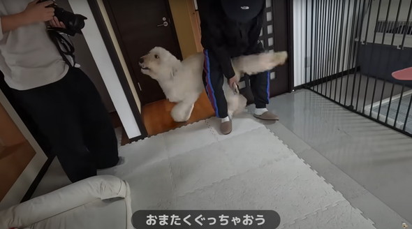 撮影現場で大暴れするワンコ