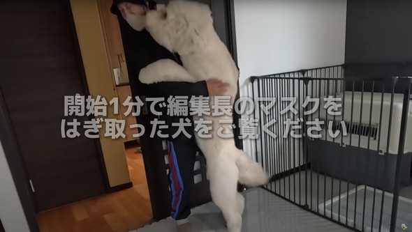 撮影現場で大暴れするワンコ