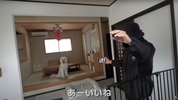 撮影現場で大暴れするワンコ