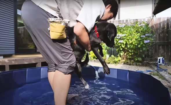 へっぴり腰で入水