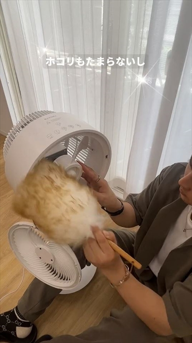 LOWYAサーキュレーターの真の実力