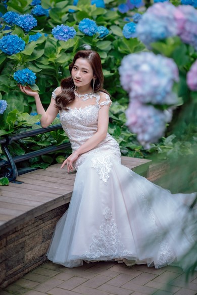 美しい1枚