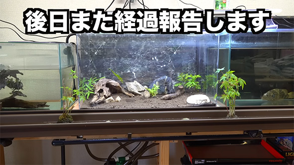 後日また経過報告