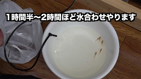 水合わせやります