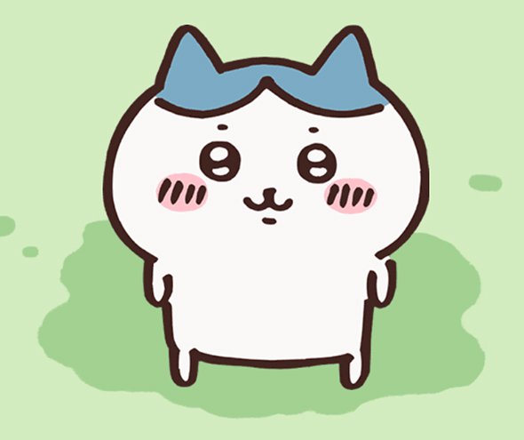 ハチワレの顔が……