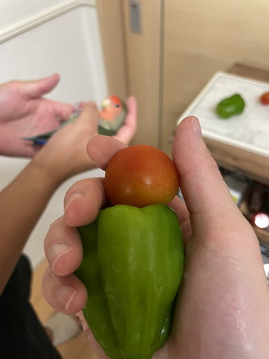コザクラインコに見える野菜をなでている写真