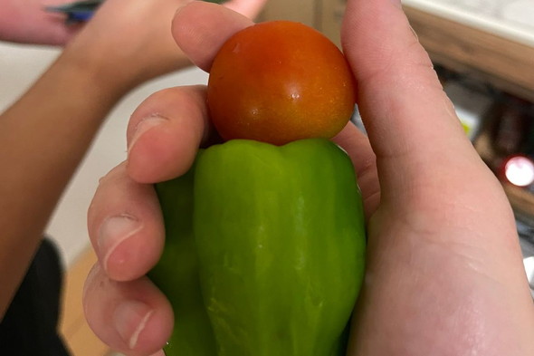 コザクラインコに見える野菜をなでている写真