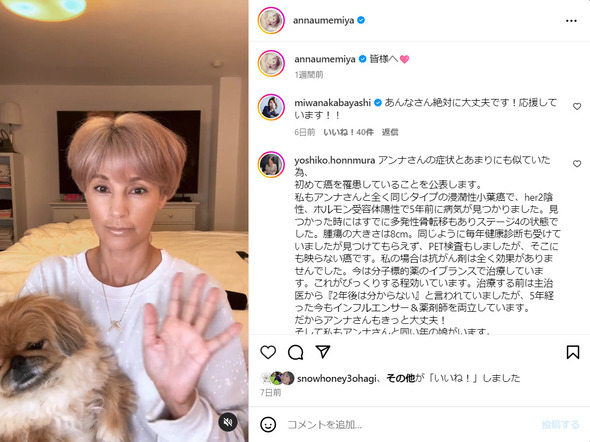 愛犬を抱える梅宮アンナさん