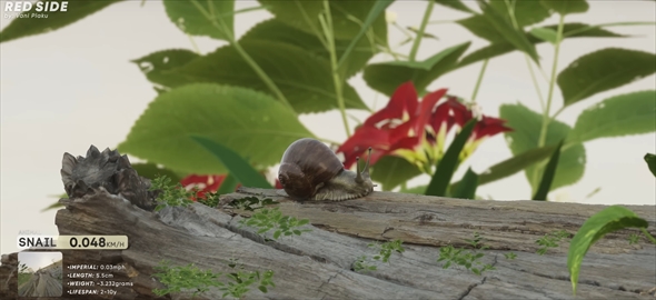 CG　動物　疾走