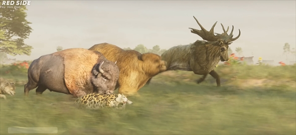 CG　動物　疾走