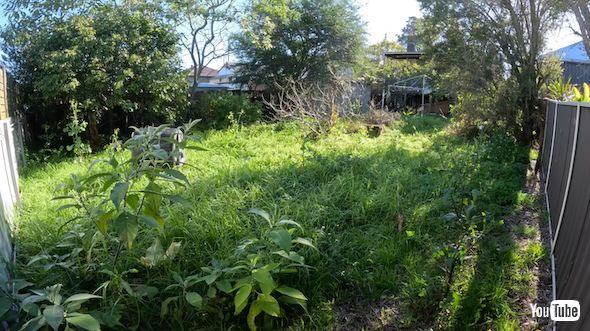 庭の草刈りビフォー