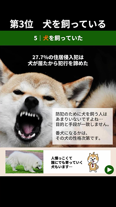 犬を飼っている