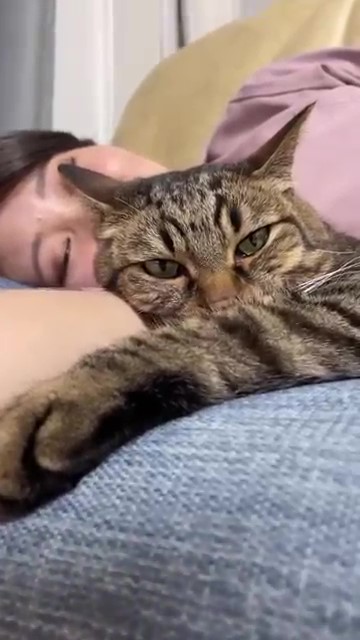 キジトラ猫ちゃんと飼い主の女性