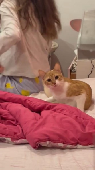 熱唱する飼い主に困惑する猫